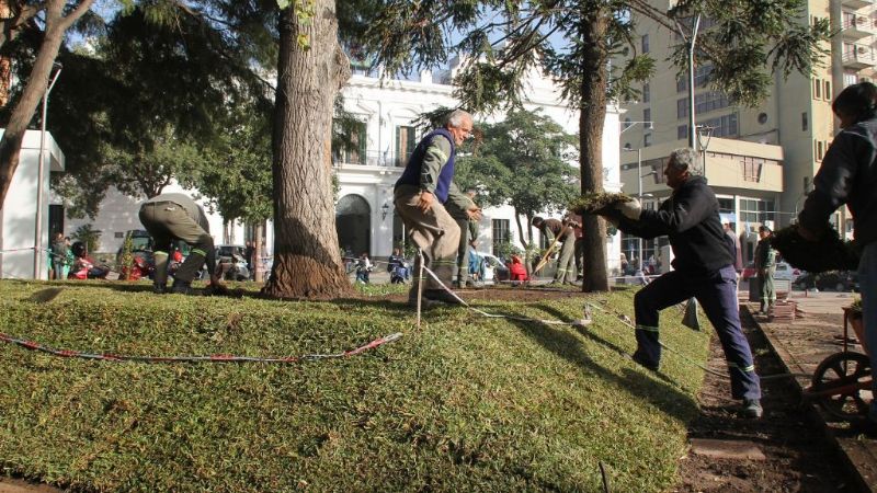 Ya se está parquizando la Plaza 25 de Mayo