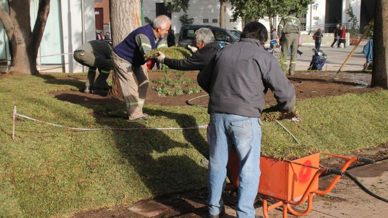 Ya se está parquizando la Plaza 25 de Mayo