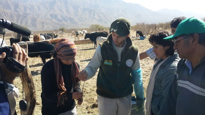 Desde Producción apuestan fuerte al sector ganadero