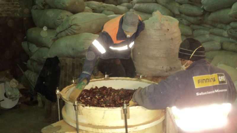 Con éxito continúa el acopio de pimiento para pimentón