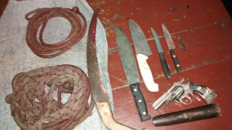 Cinco tucumanos arrestados y un animal vacuno secuestrado en Aconquija