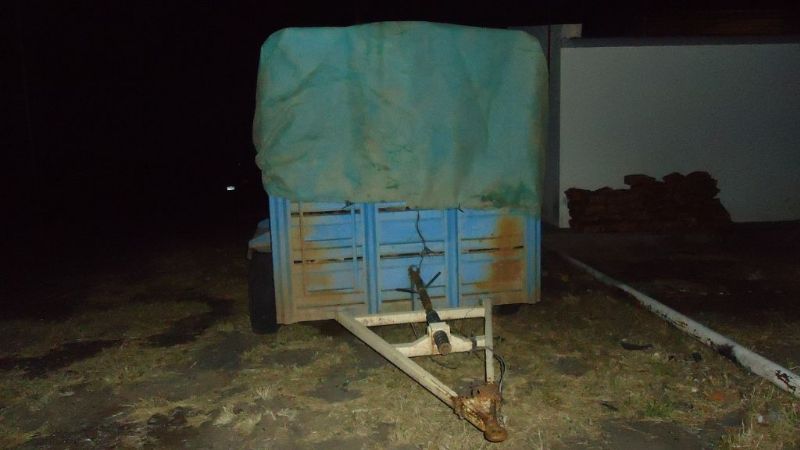 Ambiente realizó denuncia penal por la distribución de leña no autorizada