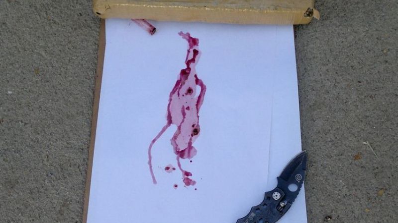 Golpeó a una mujer y cuando lo detuvieron le encontraron droga