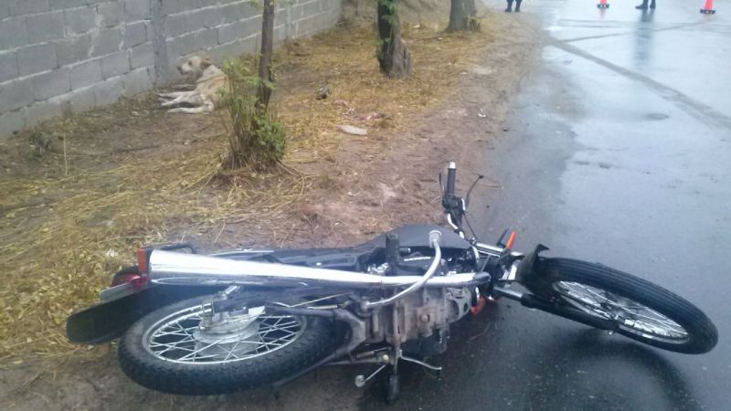 Se le cruzó un perro y cayó de la moto