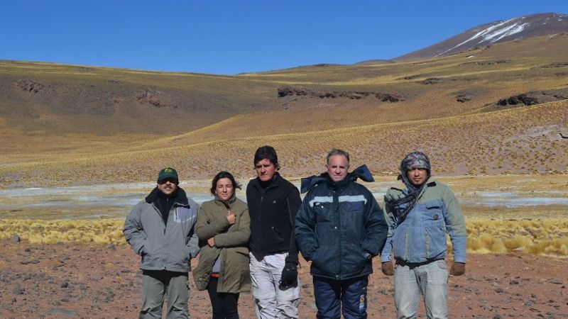 Analizaron nuevos sitios para conservación y manejo de vicuñas en silvestría