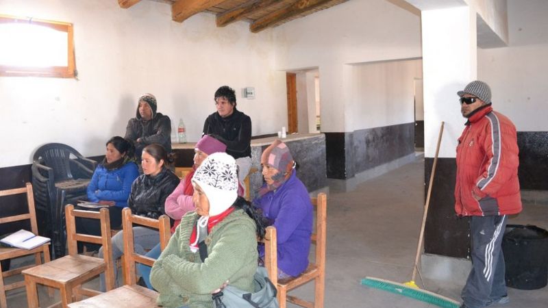 Analizaron nuevos sitios para conservación y manejo de vicuñas en silvestría