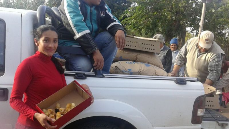 Entrega de pollitos para damnificados por inundaciones