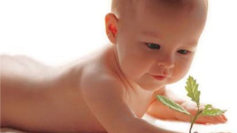 Conferencia sobre la dignidad de la vida y genoma humano en Fasta