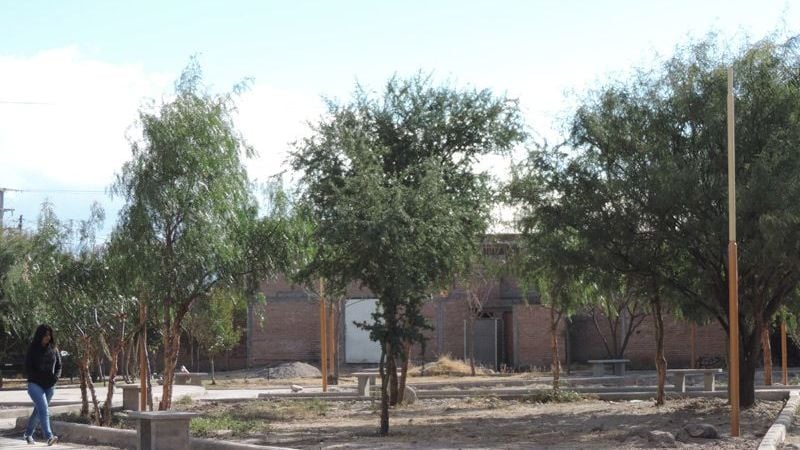 Espacios verdes con más iluminación