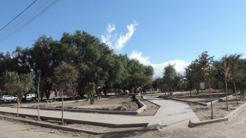 Espacios verdes con más iluminación