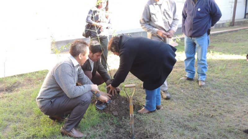 Forestación en el Hogar de Ancianos “Fray Mamerto Esquiú”
