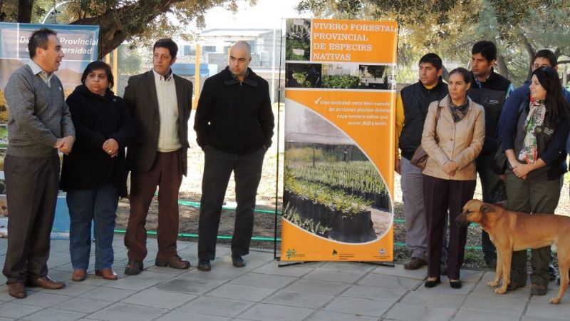 Forestación en el Hogar de Ancianos “Fray Mamerto Esquiú”