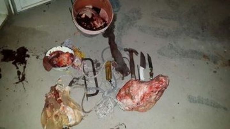 Secuestran un animal faenado y arrestan a dos sujetos