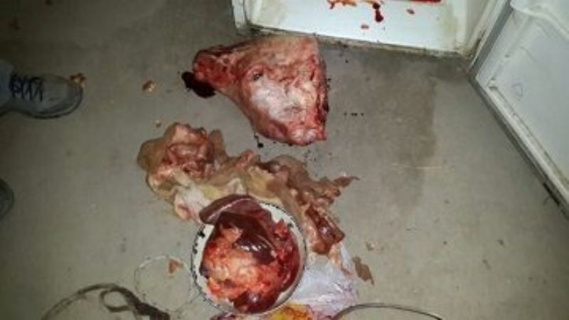 Secuestran un animal faenado y arrestan a dos sujetos