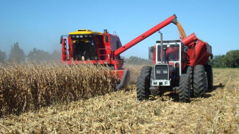 Un estudio asegura que el modelo agrícola argentino no es sustentable