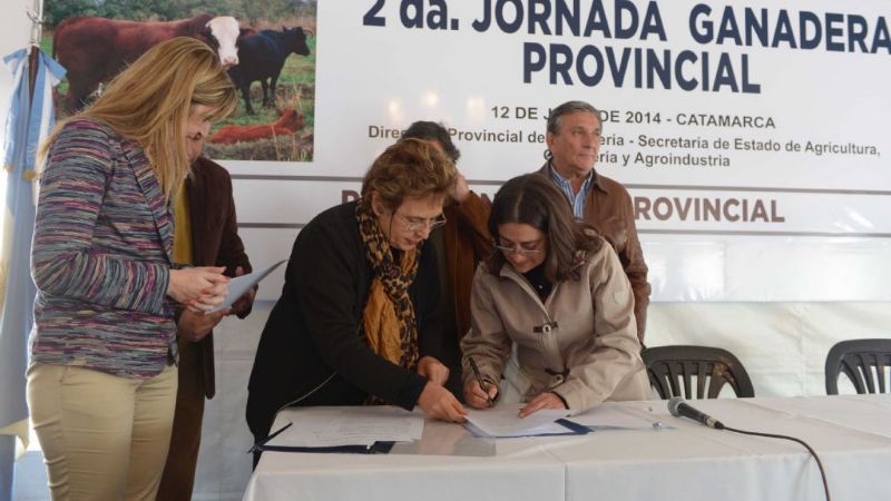 Presentaron la descendencia de los reproductores del Plan Toro