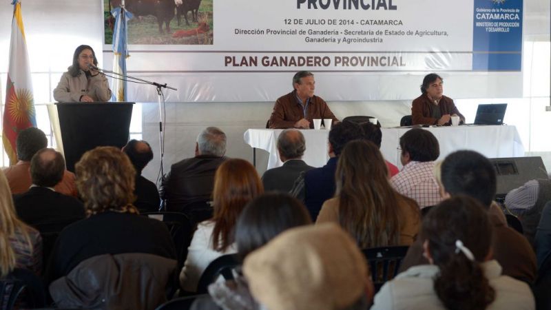 Presentaron la descendencia de los reproductores del Plan Toro