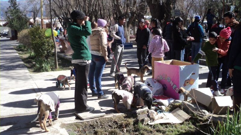 La protectora “Patitas Calchaquíes” festejó su primer aniversario