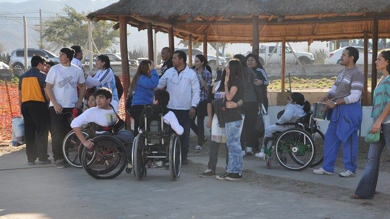 Adultos Mayores y Aletas Especiales presentes en el Poncho