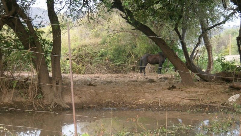 Vecinos molestos en La Tercena por olores nauseabundos
