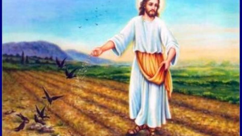 Reflexión sobre el Evangelio del domingo