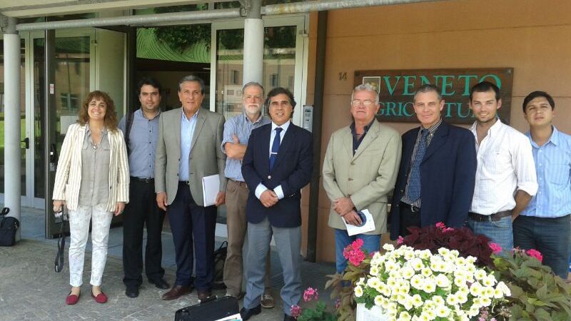 Interés de Italia para invertir en generación de energía por biomasa