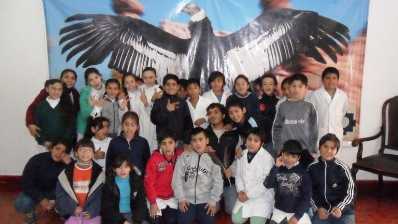 Últimos encuentros de los talleres infantiles en el Museo Adán Quiroga