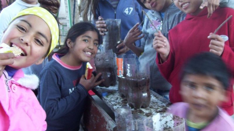 Enseñan a niños sobre el cuidado de árboles