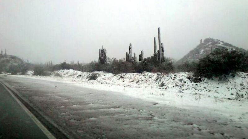 Nieva en distintos puntos de Catamarca