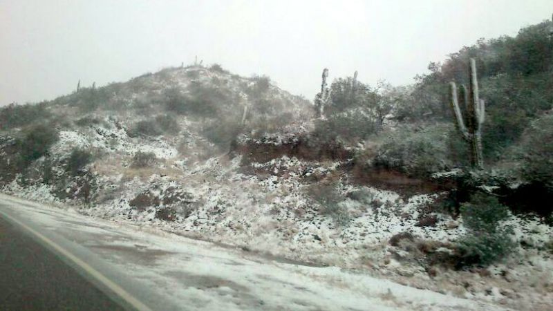 Nieva en distintos puntos de Catamarca