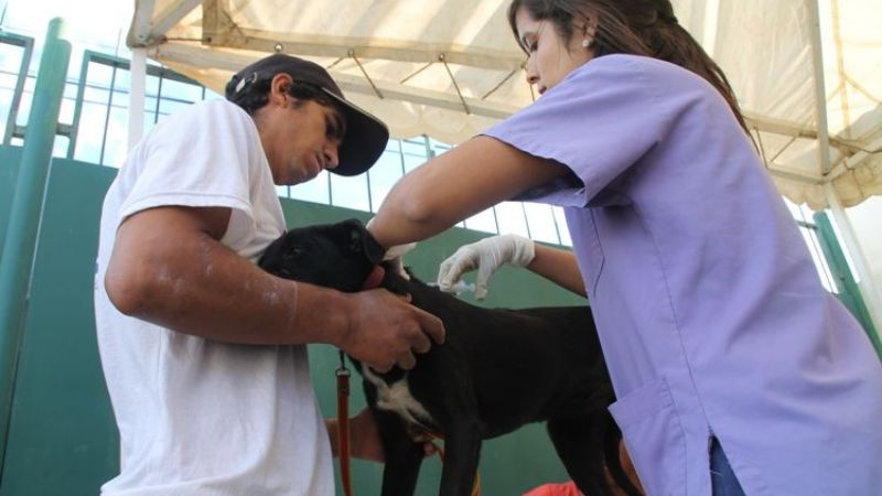 “Municipio en tu Barrio” ya brindó más de 6000 prestaciones
