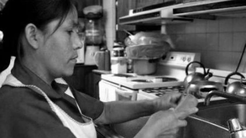 El 50 % de las domésticas está en blanco