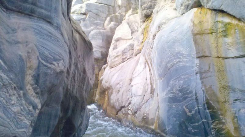 Un oasis peligroso en El Rosario