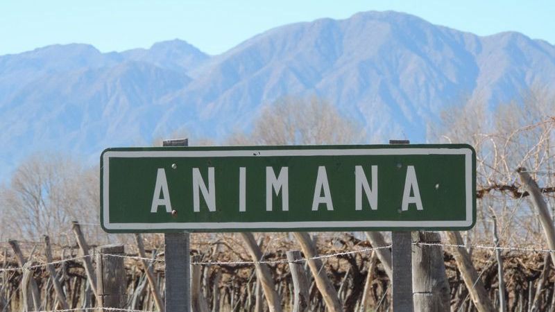 Animaná recibe la Expo Valle 2014