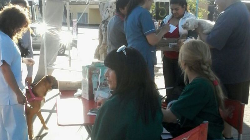 Exitosa campaña de vacunación canina en Valle Viejo