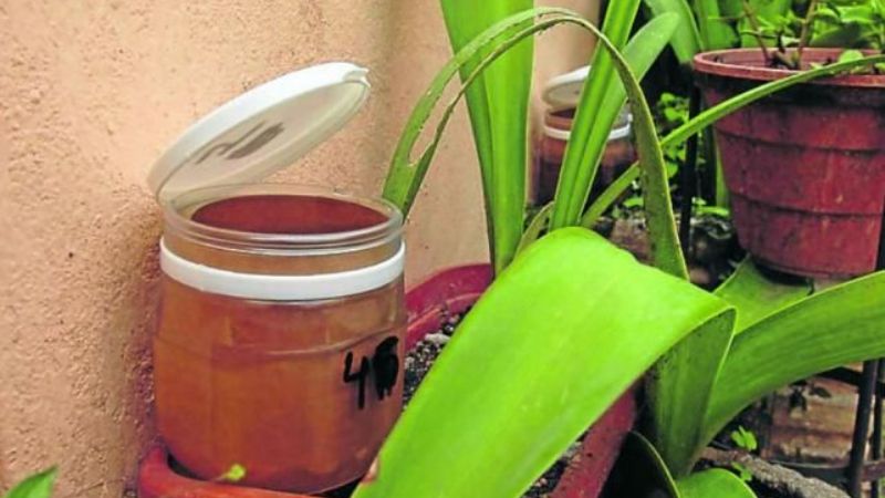 OSPRERA informa a su comunidad rural sobre medidas extremas para prevenir el dengue