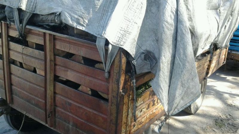 Secuestran un camión con leña en Chumbicha