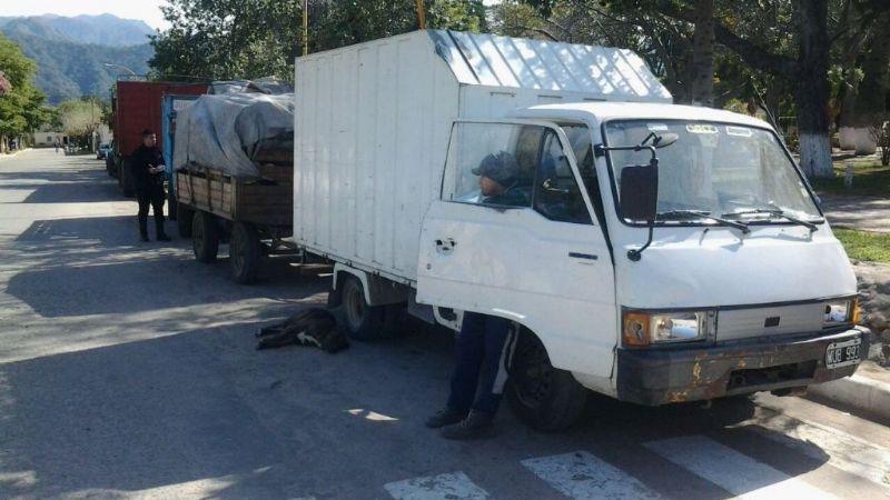 Secuestran un camión con leña en Chumbicha