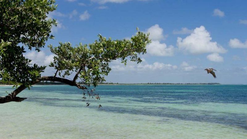 Niño escapó a nado de un hambriento cocodrilo