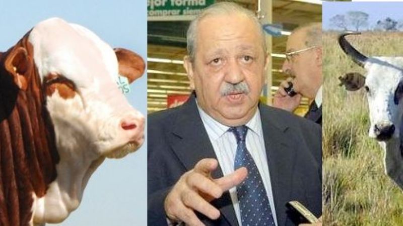 Brizuela del Moral propone psicólogos para los toros