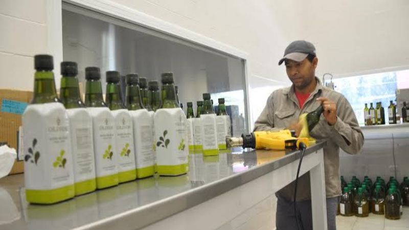 La UNCa. desmintió abandono de la planta de aceite de oliva