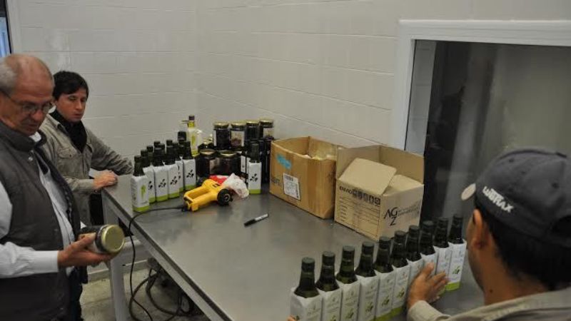 La UNCa. desmintió abandono de la planta de aceite de oliva