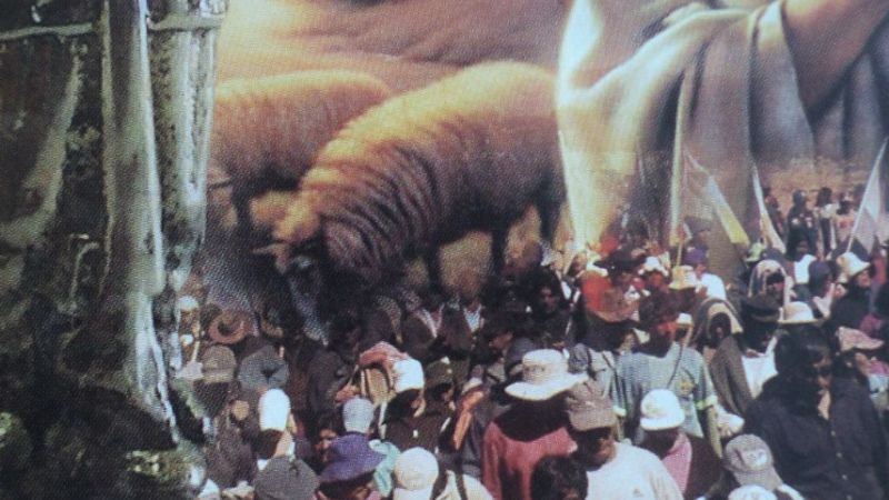 Ya se comienza a vivir en San José las festividades en honor a San Roque