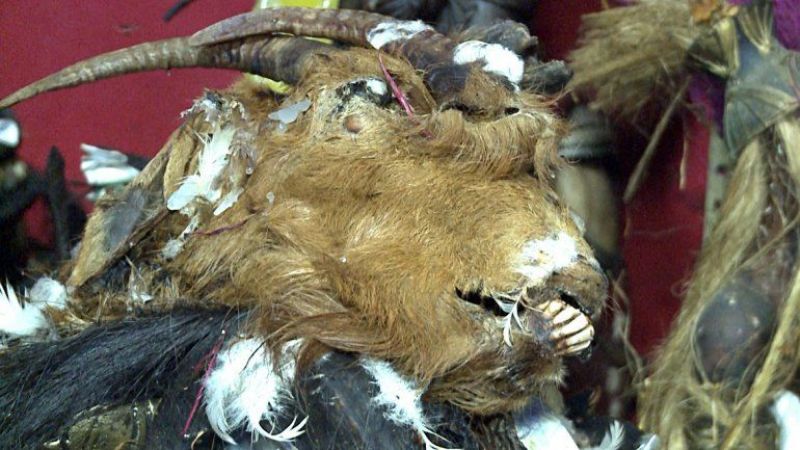 Casa del horror: cayó un pai umbanda y hallaron 15 cráneos humanos