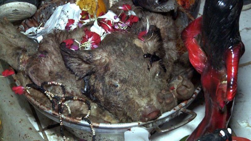 Casa del horror: cayó un pai umbanda y hallaron 15 cráneos humanos