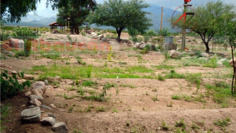 Se suicidaron dos jóvenes en Palo Blanco