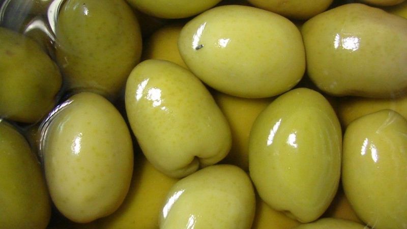 Clasificadora de aceitunas para pequeños productores