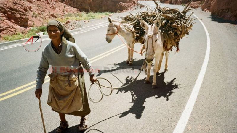 Encuentran sin vida a una solitaria anciana en la cordillera