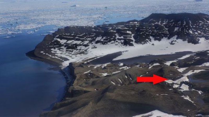 Paleontólogos descubrieron los mamíferos más antiguos de la Antártida