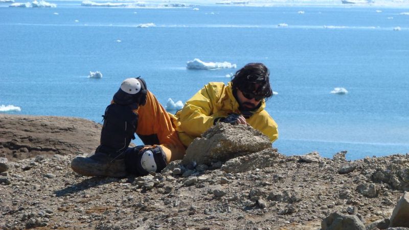 Paleontólogos descubrieron los mamíferos más antiguos de la Antártida